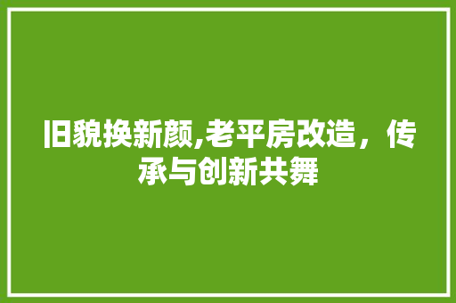 旧貌换新颜,老平房改造，传承与创新共舞