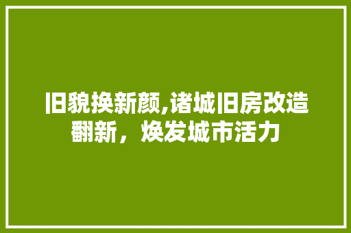 旧貌换新颜,诸城旧房改造翻新，焕发城市活力