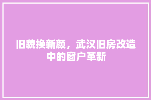 旧貌换新颜，武汉旧房改造中的窗户革新