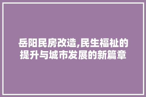 岳阳民房改造,民生福祉的提升与城市发展的新篇章