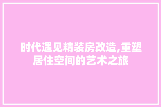 时代遇见精装房改造,重塑居住空间的艺术之旅