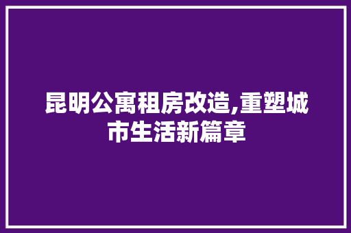 昆明公寓租房改造,重塑城市生活新篇章