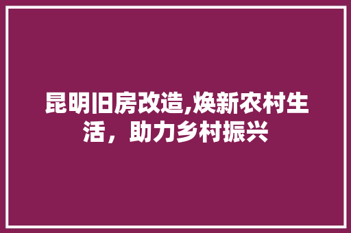 昆明旧房改造,焕新农村生活，助力乡村振兴