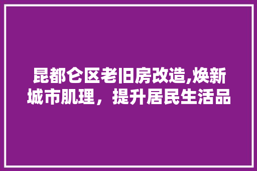 昆都仑区老旧房改造,焕新城市肌理，提升居民生活品质