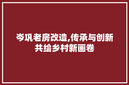 岑巩老房改造,传承与创新共绘乡村新画卷