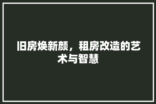 旧房焕新颜，租房改造的艺术与智慧