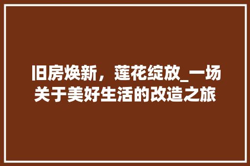 旧房焕新，莲花绽放_一场关于美好生活的改造之旅