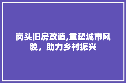 岗头旧房改造,重塑城市风貌，助力乡村振兴