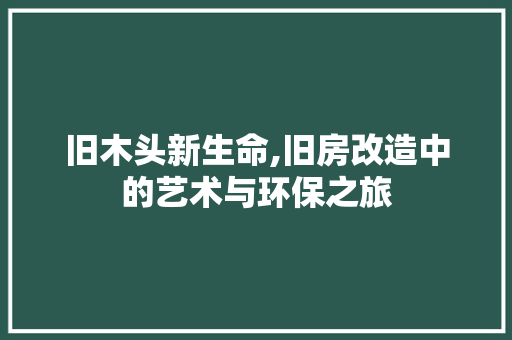 旧木头新生命,旧房改造中的艺术与环保之旅
