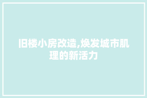 旧楼小房改造,焕发城市肌理的新活力