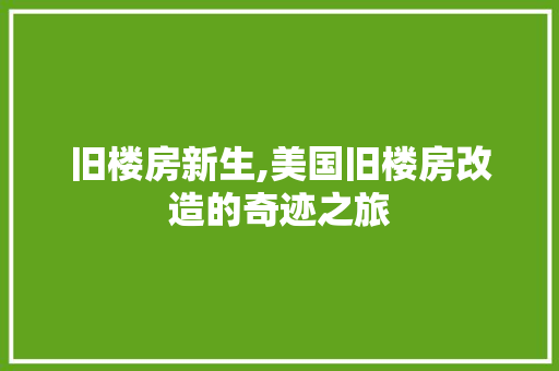 旧楼房新生,美国旧楼房改造的奇迹之旅