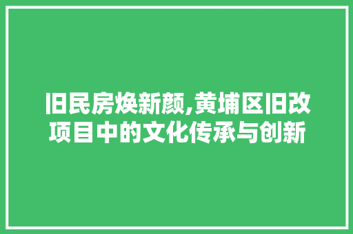 旧民房焕新颜,黄埔区旧改项目中的文化传承与创新