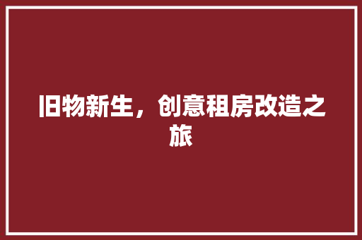 旧物新生，创意租房改造之旅