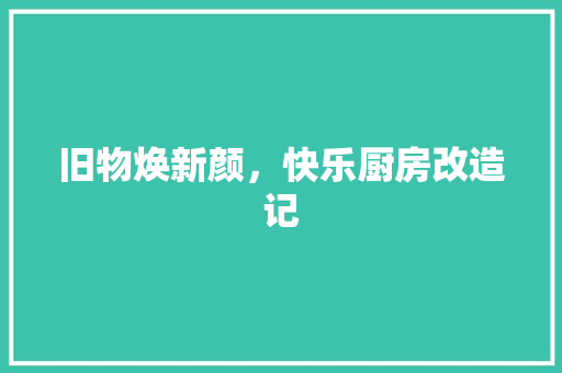 旧物焕新颜，快乐厨房改造记