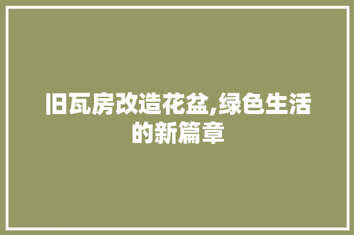 旧瓦房改造花盆,绿色生活的新篇章