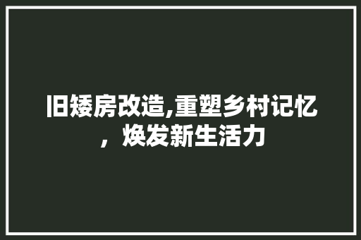 旧矮房改造,重塑乡村记忆，焕发新生活力