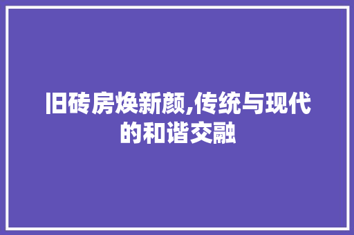 旧砖房焕新颜,传统与现代的和谐交融