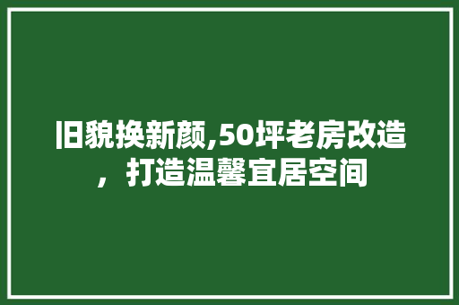 旧貌换新颜,50坪老房改造，打造温馨宜居空间
