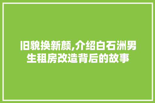 旧貌换新颜,介绍白石洲男生租房改造背后的故事