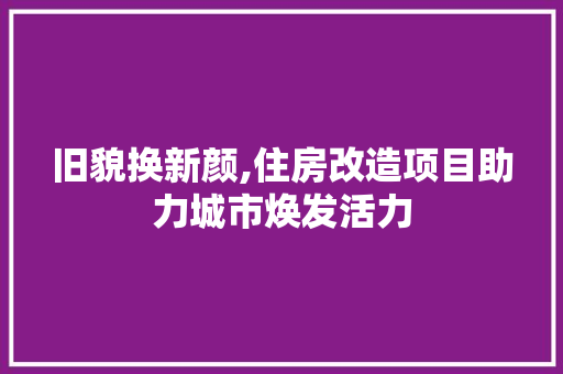 旧貌换新颜,住房改造项目助力城市焕发活力