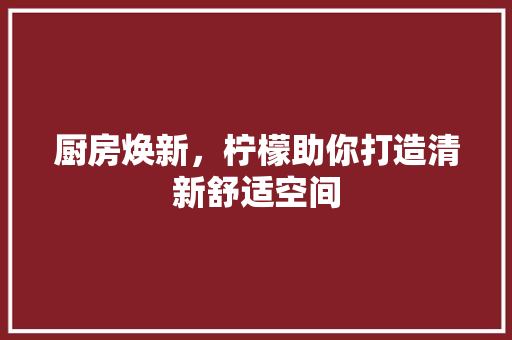 厨房焕新，柠檬助你打造清新舒适空间