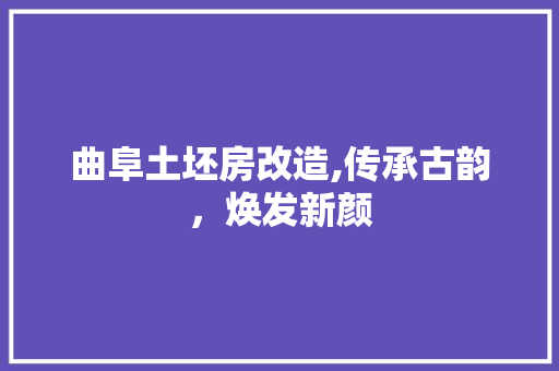 曲阜土坯房改造,传承古韵，焕发新颜