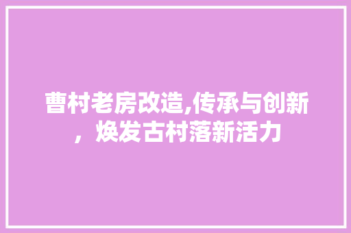 曹村老房改造,传承与创新，焕发古村落新活力