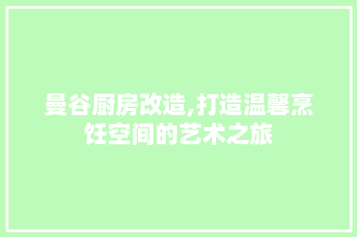 曼谷厨房改造,打造温馨烹饪空间的艺术之旅