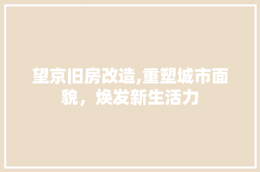 望京旧房改造,重塑城市面貌，焕发新生活力