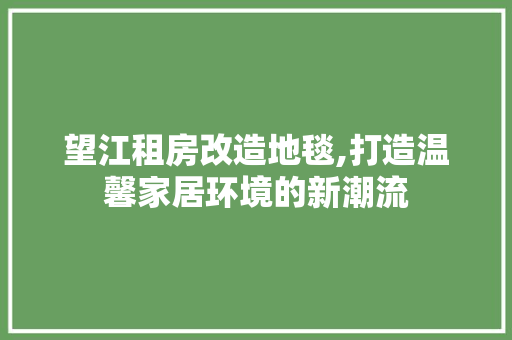 望江租房改造地毯,打造温馨家居环境的新潮流