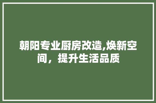 朝阳专业厨房改造,焕新空间，提升生活品质