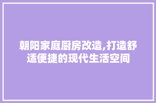 朝阳家庭厨房改造,打造舒适便捷的现代生活空间