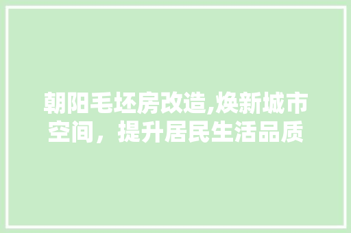 朝阳毛坯房改造,焕新城市空间，提升居民生活品质