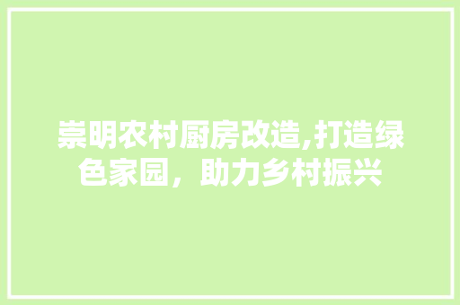 崇明农村厨房改造,打造绿色家园，助力乡村振兴