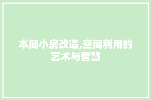本间小房改造,空间利用的艺术与智慧