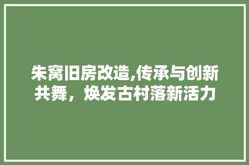 朱窝旧房改造,传承与创新共舞，焕发古村落新活力