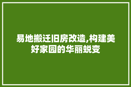 易地搬迁旧房改造,构建美好家园的华丽蜕变