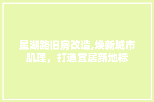 星湖路旧房改造,焕新城市肌理，打造宜居新地标