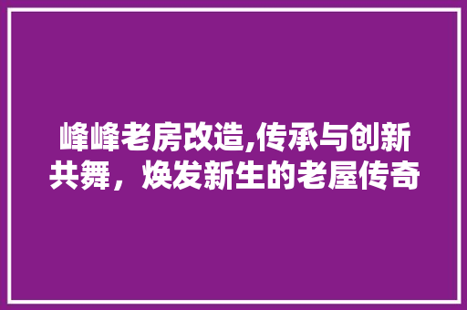 峰峰老房改造,传承与创新共舞，焕发新生的老屋传奇