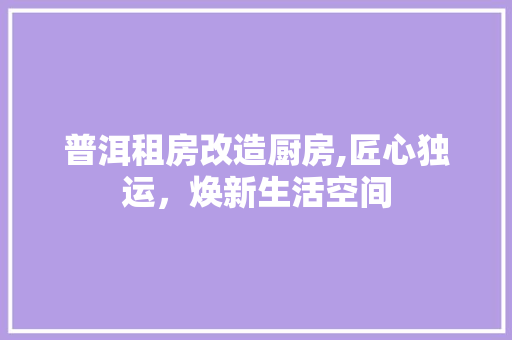 普洱租房改造厨房,匠心独运，焕新生活空间