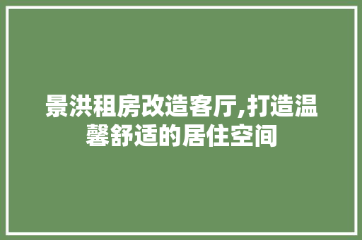 景洪租房改造客厅,打造温馨舒适的居住空间