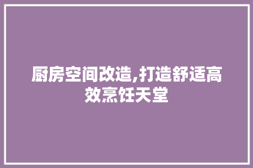 厨房空间改造,打造舒适高效烹饪天堂