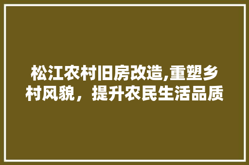 松江农村旧房改造,重塑乡村风貌，提升农民生活品质