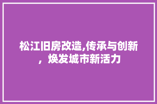 松江旧房改造,传承与创新，焕发城市新活力