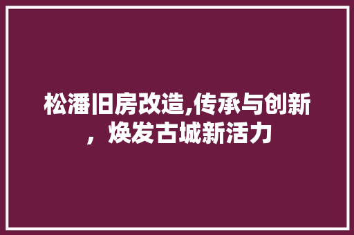 松潘旧房改造,传承与创新，焕发古城新活力