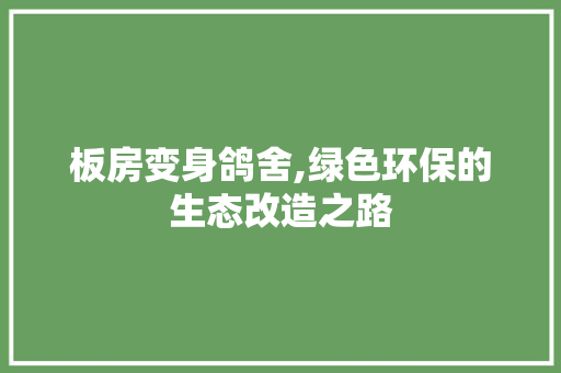 板房变身鸽舍,绿色环保的生态改造之路