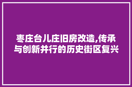枣庄台儿庄旧房改造,传承与创新并行的历史街区复兴之路