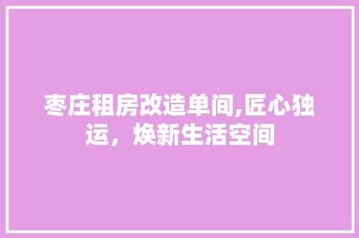 枣庄租房改造单间,匠心独运，焕新生活空间