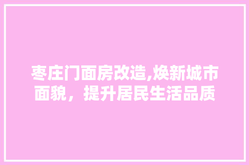 枣庄门面房改造,焕新城市面貌，提升居民生活品质