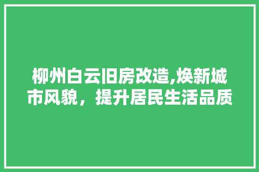 柳州白云旧房改造,焕新城市风貌，提升居民生活品质